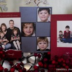 The C Family